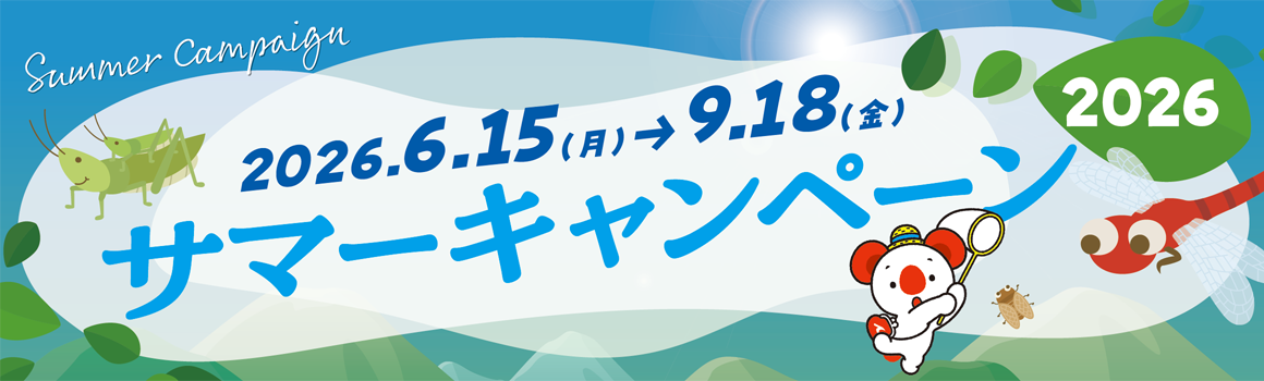 サマーキャンペーン2026