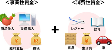 事業性資金（商品仕入 設備購入 給料支払 納税）消費性資金（レジャー 教育 家具 生活費 車）