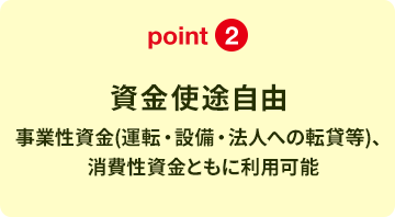 point2 資金使途自由 事業性資金（運転・設備・法人への転貸等）、
									消費性資金ともに利用可能