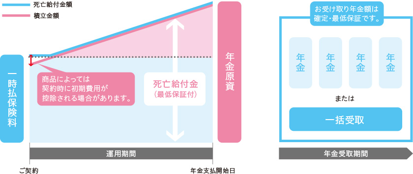 定期年金保険のイメージ図