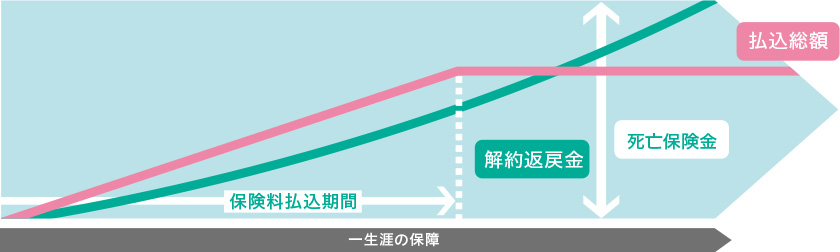 平準払終身保険のイメージ図