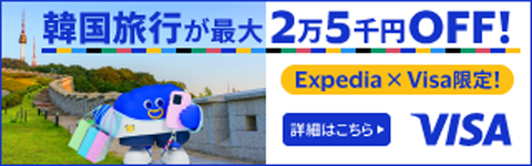 Visaキャンペーンバナー画像